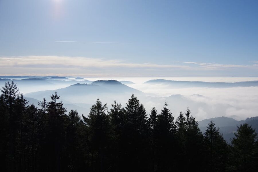 The Black Forest under morning mist, the country south of Baden-Baden