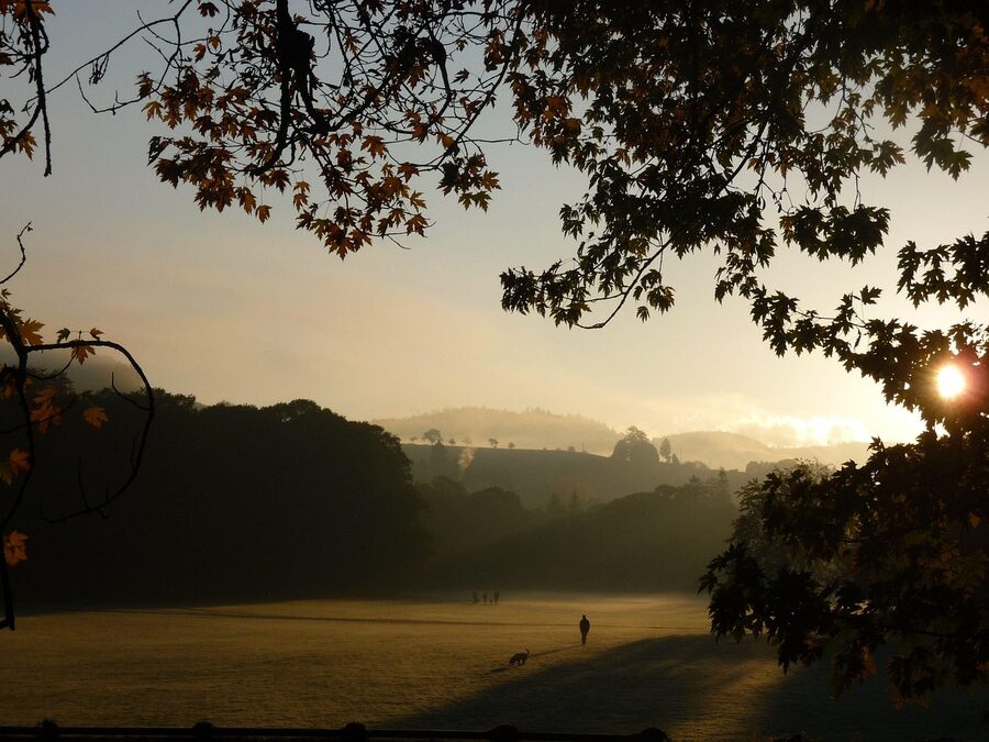 Autumn colours along the Lichtentaler Allee in Baden-Baden