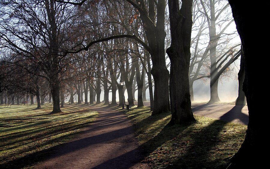 Lichtentaler Allee near the Klosterwiese, Baden-Baden