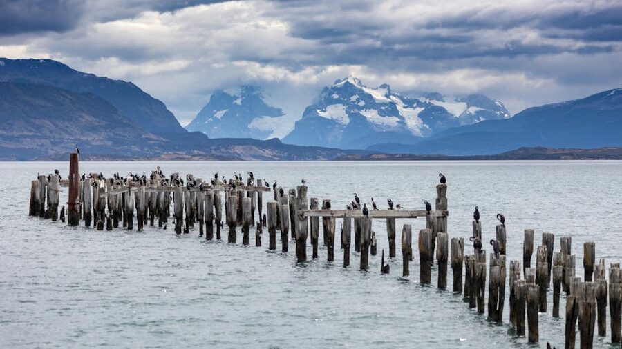 Cormorants on a wooden pier in a Patagonia fjord with snow-capped mountains