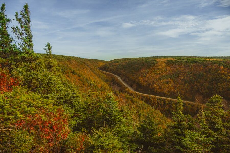 Fall foliage along a winding road in Cape Breton, Nova Scotia