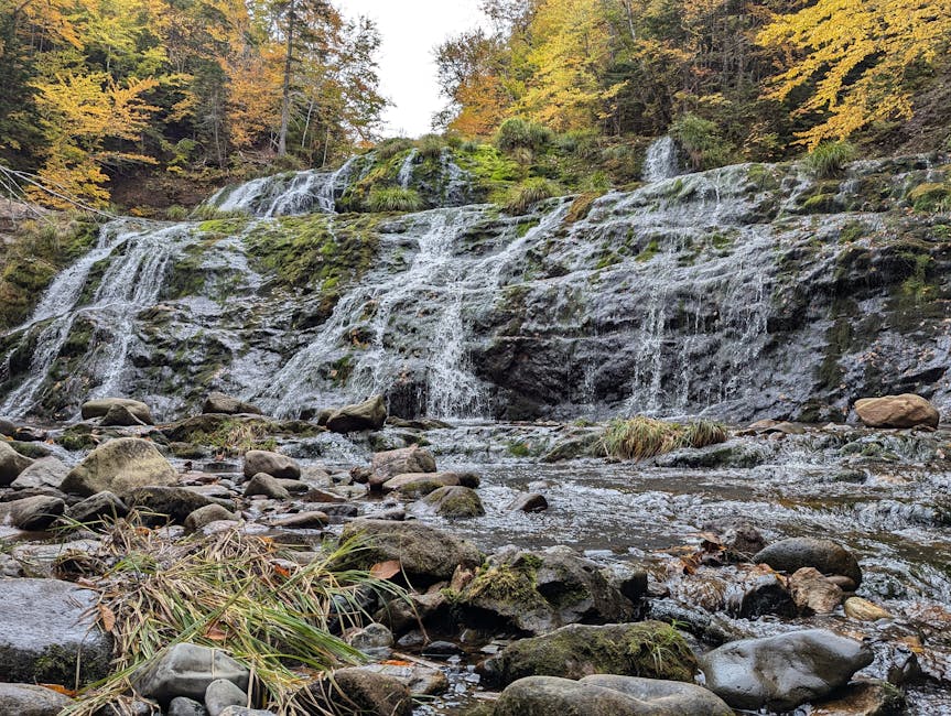 Waterfall cascading through autumn foliage in Cape Breton Highlands