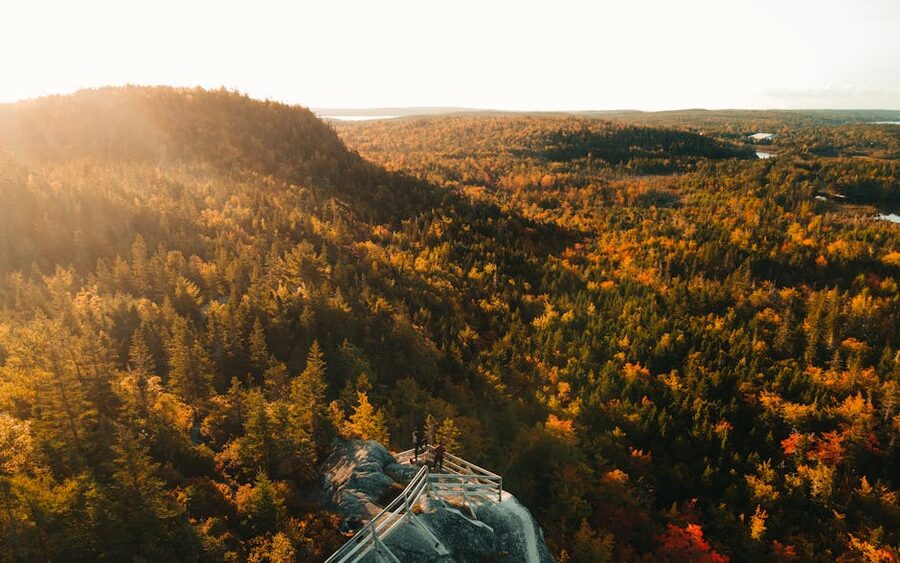 Aerial view of autumn forest in Musquodoboit Nova Scotia
