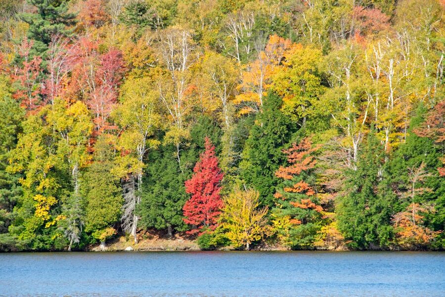 New England autumn foliage reflected in a tranquil pond