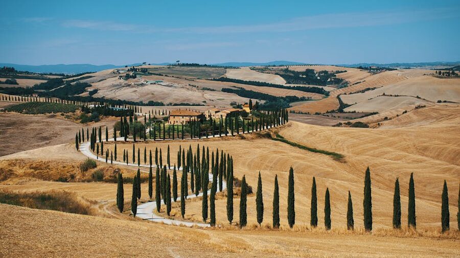 A cypress-lined road winding through the Tuscan countryside