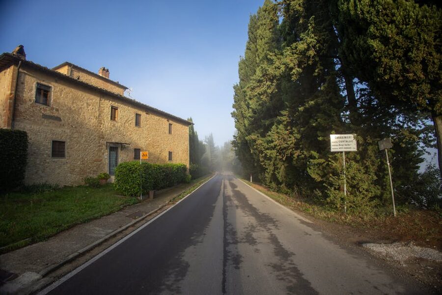 A quiet Tuscan road lined with cypress trees in early morning mist