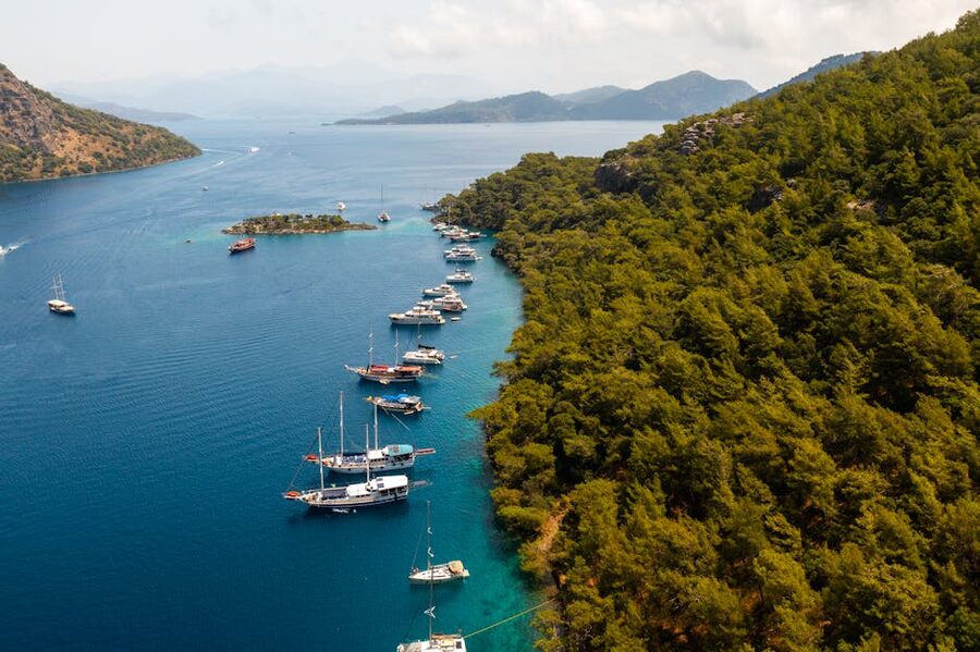 Aerial view of Gocek Bay with sailing yacht and pine forest coastline