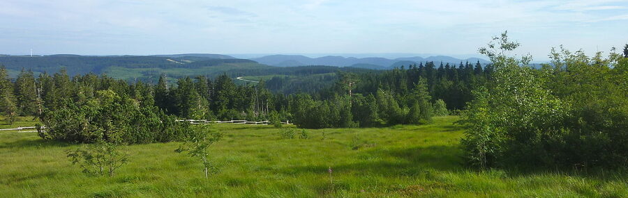 View south from Schliffkopf summit, Black Forest