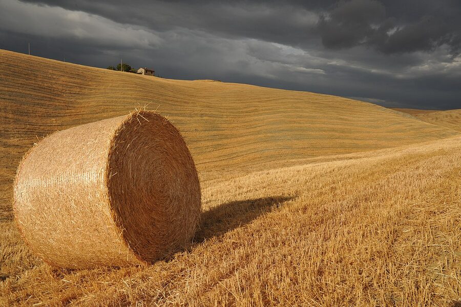 The Val d'Orcia in classic Tuscan light