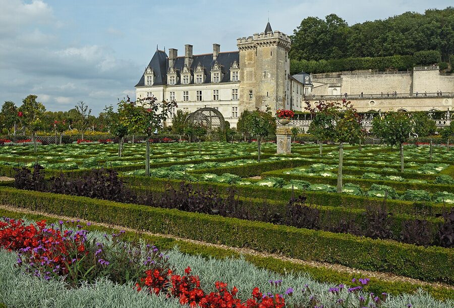 The geometric vegetable gardens at Chateau de Villandry