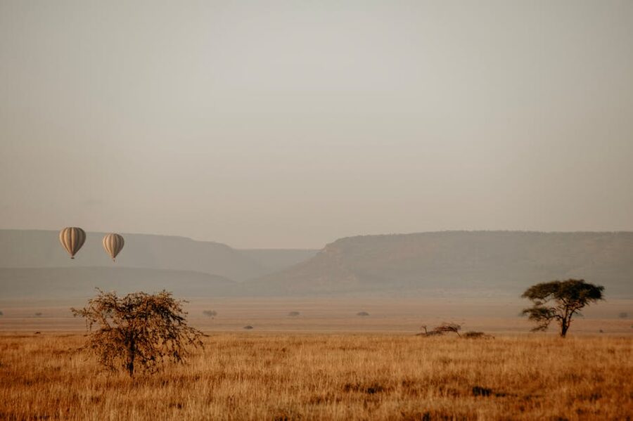 Hot air balloons over the Serengeti at sunrise