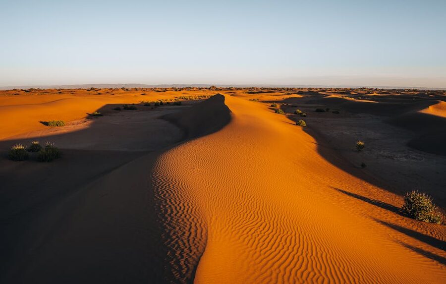 Golden sand dunes of the Sahara at dusk